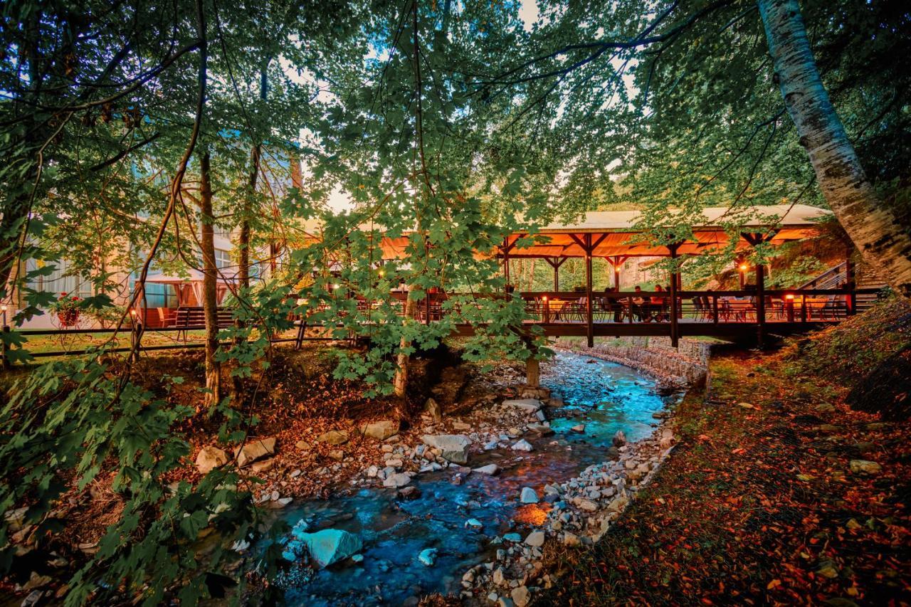 Hotel & Restaurant Sofia Sucevita Bagian luar foto