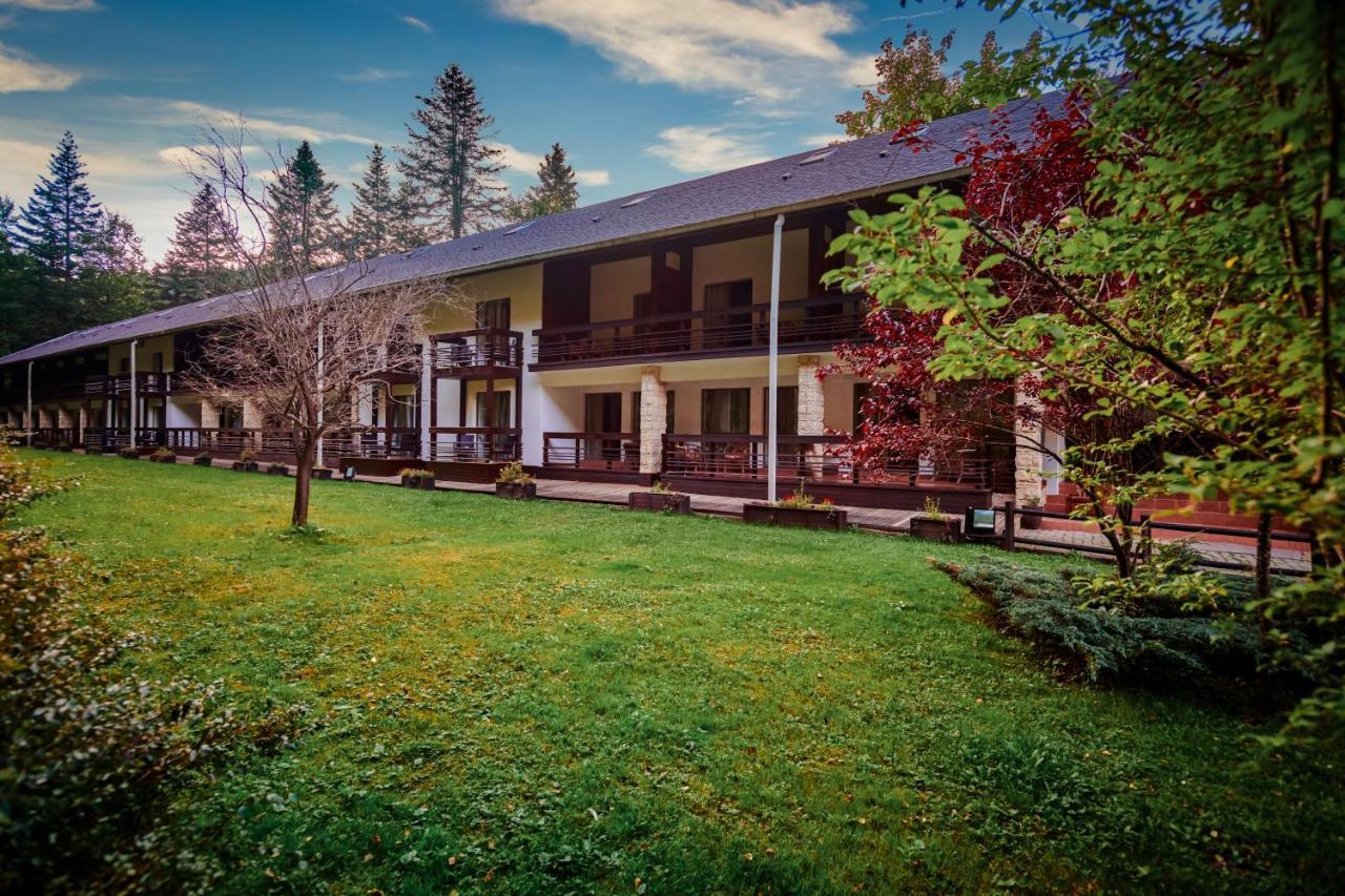 Hotel & Restaurant Sofia Sucevita Bagian luar foto